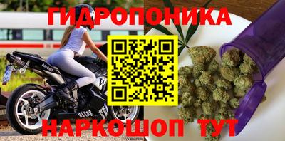 прущая мука Будённовск