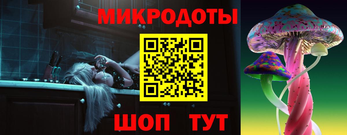 Псилоцибиновые грибы Cubensis Энгельс